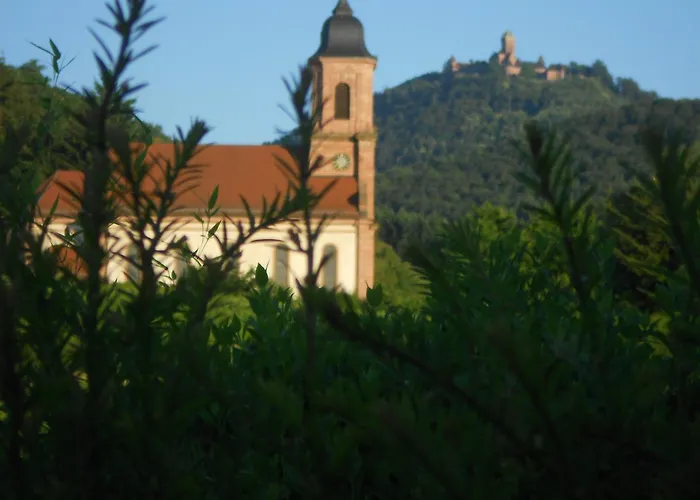 Au Coeur Du Vignoble